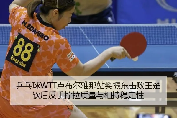 乒乓球WTT卢布尔雅那站樊振东击败王楚钦后反手拧拉质量与相持稳定性
